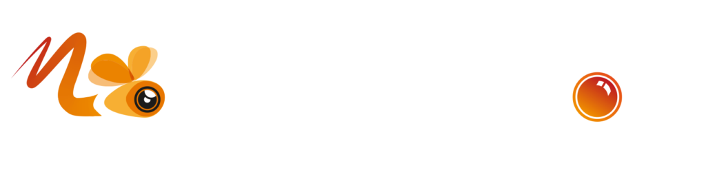 Moviedron